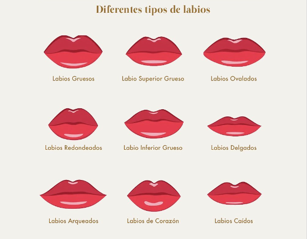 Diferentes tipos de labios en imágenes 